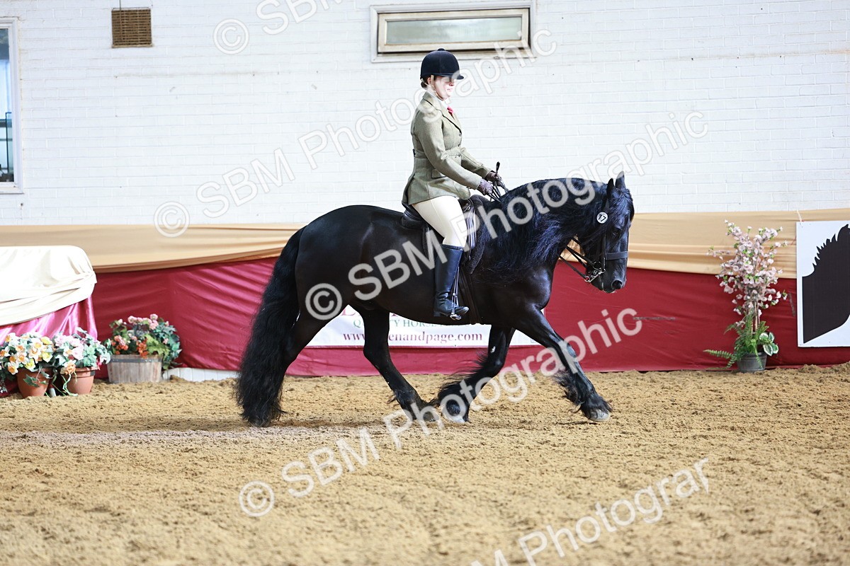 SBM_11880 - Class 102 - Equitation (Best Rider) Adult