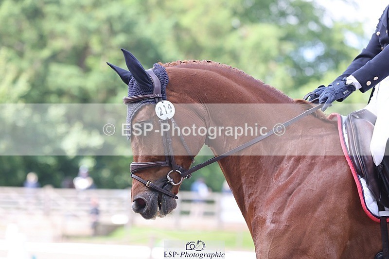 240523-113234-03547 - 219-HIT_CHAN_BOY_ALFA-Valentine_Emsens