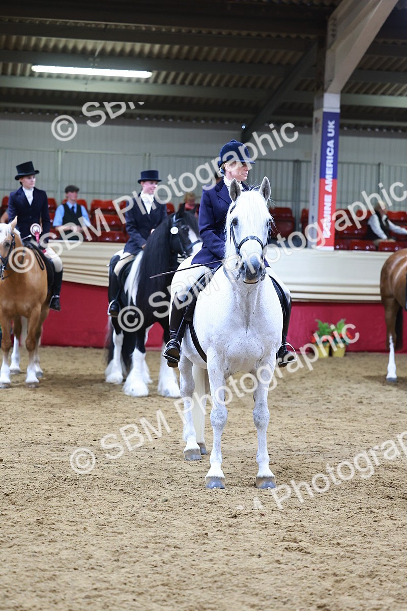 SBM_23565 - class 906 - Supreme Final - Ridden Pre Vet