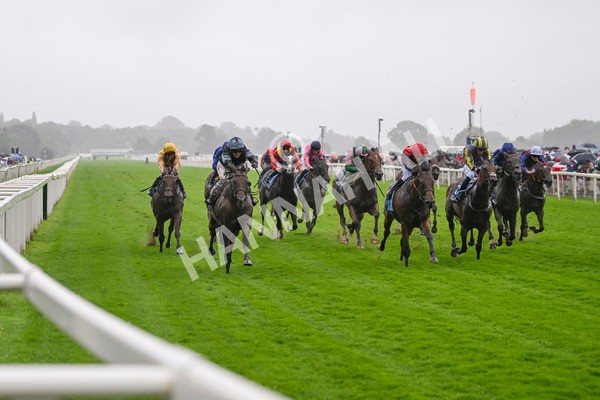 080924-Race 2-Duran-8953 - Race 2 2.15pm Fine Details Vehicle Valeting Handicap