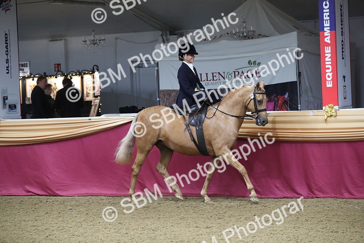 SBM_09396 - Class 101 Equitation (best rider), Junior