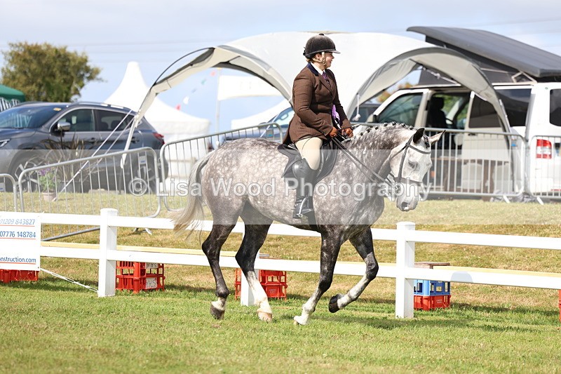 3E7A9236 - Class 3: Rising Star S/L Hunter