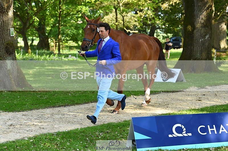 230524-163212-00930 - 181-AMIRO_ISLAND-Harry_Meade-WEDTrotUp+DR