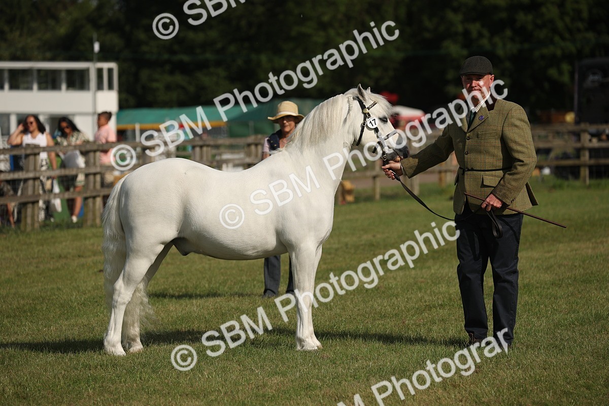 SBM_10343 - Class 33-38 - SSADL RIHS Qualifiers