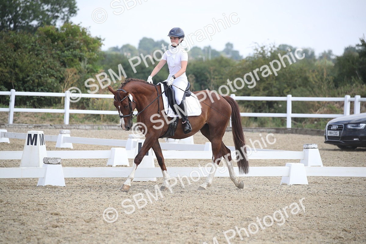 SBM_006845 - Novice 5 - 10.56-13.12