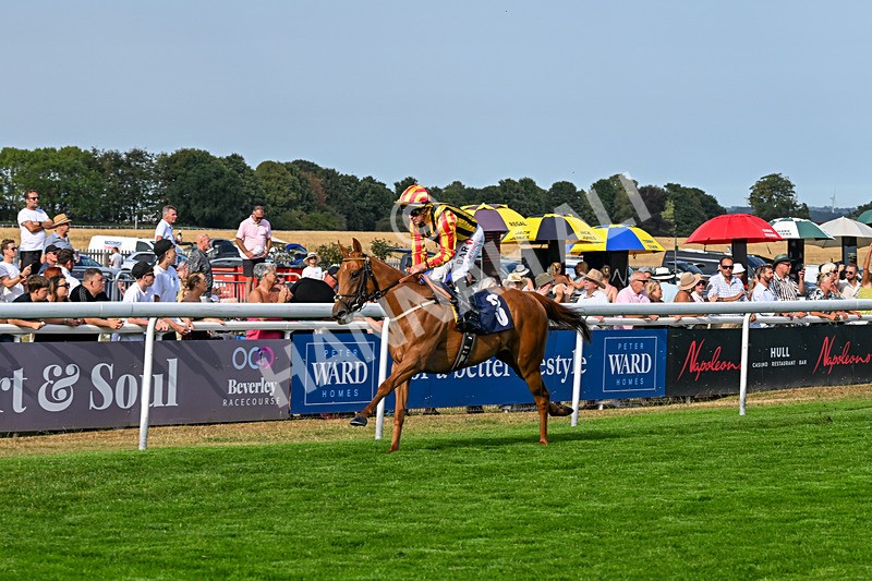 130826-Race 6-Saxon Grace-9918 - Race 6 16.45pm Racing Again On Saturday 29 August Handicap