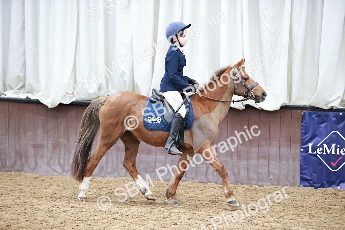 SBM_000277 - Class 1 - Cross Pole Jumping 30cm 40cm