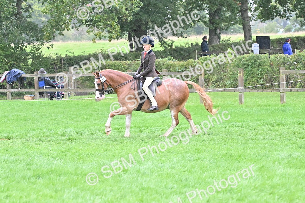 SBM_72485 - S43 - Ridden Equitation Best Rider