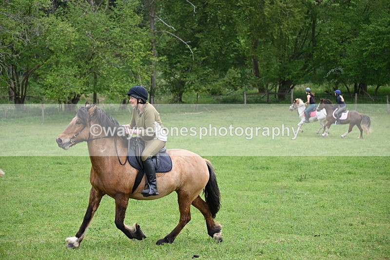 WJ6_3365 - A camera