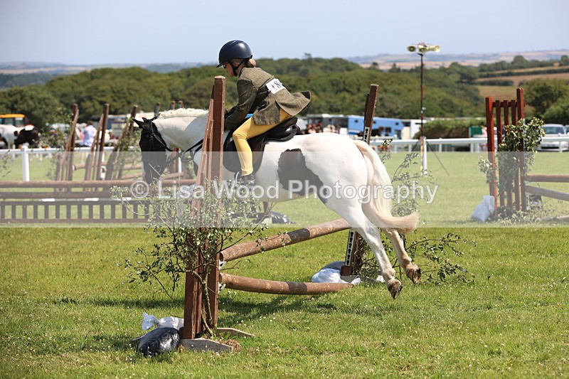 JPP_3080 - Class 22: Working Hunter 70cm