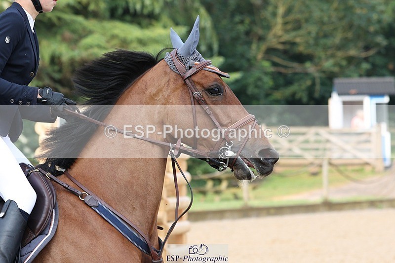 230617-081437-00120 - Cls 08a Pony 1.05