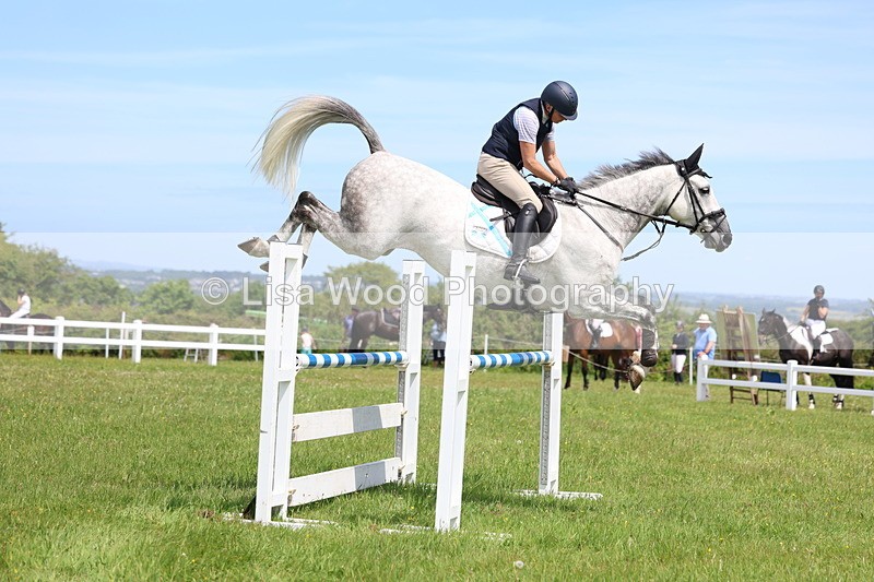3E7A1321 - Class 12: Senior Foxhunter/1.20 open