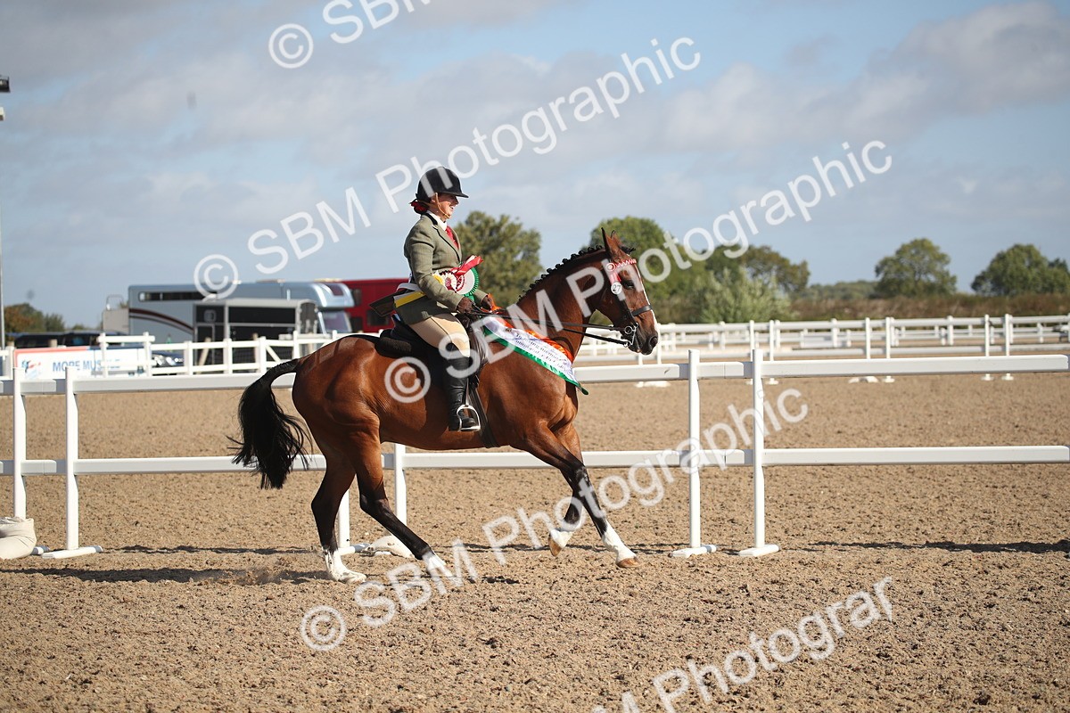 SBM_22750 - Class 601 - 2026 - Area - Ridden Diamond