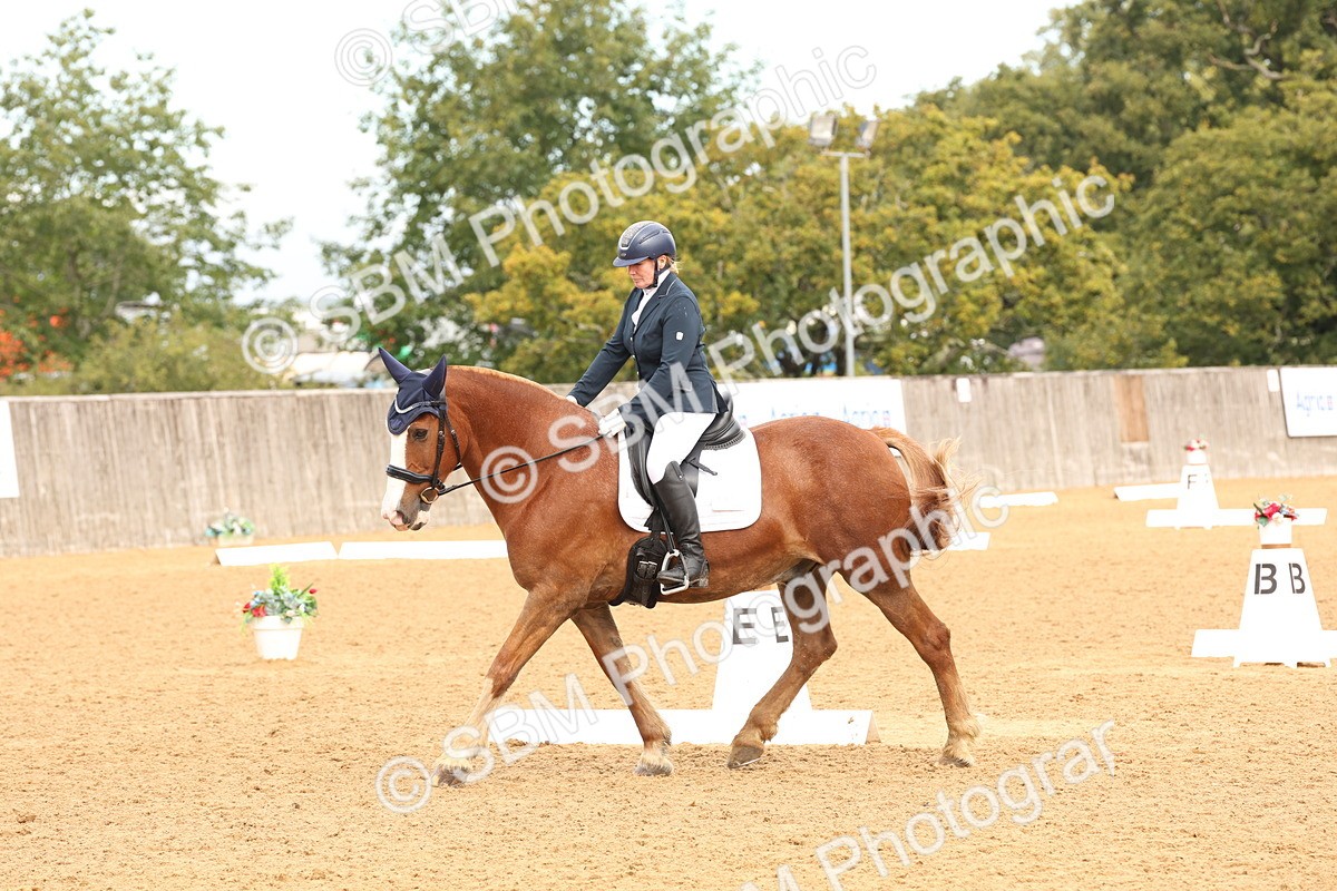 SBM_40622 - D6 - Small Tour Championship Intro 4