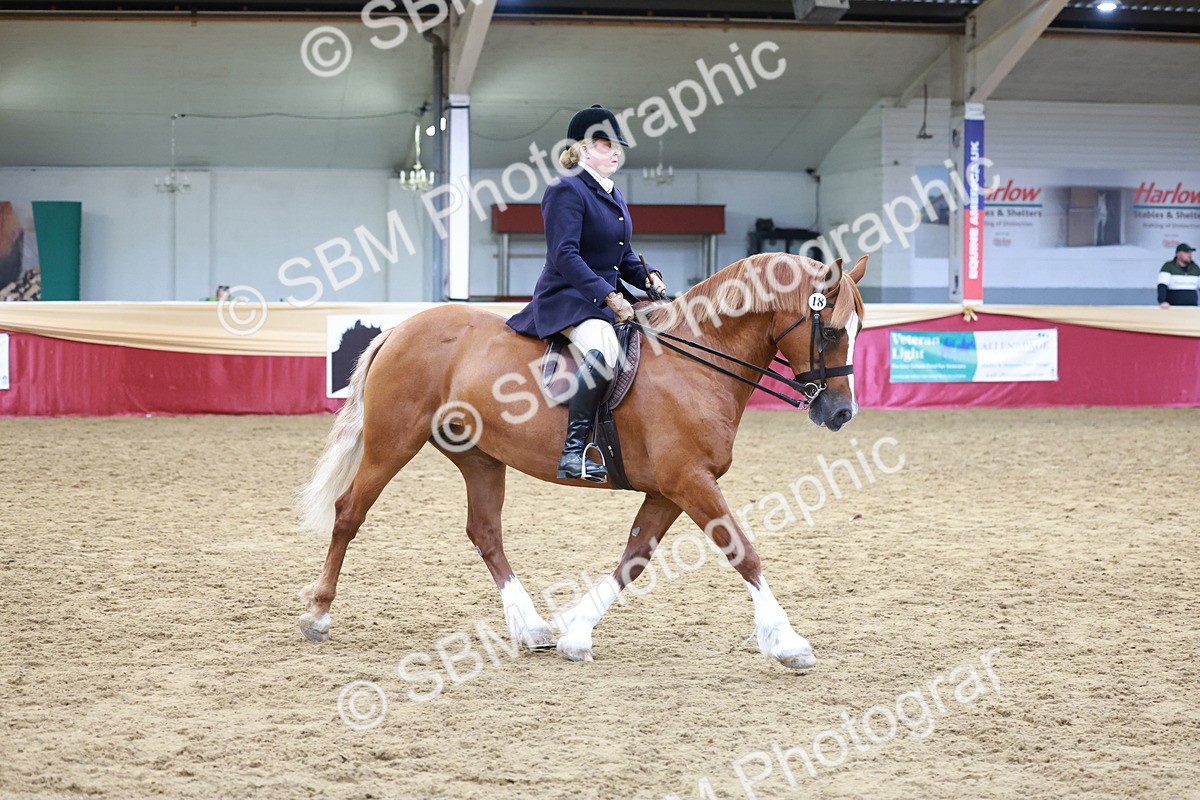 SBM_18618 - Class 952 - M&M Ridden Supreme Final