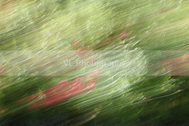 Emotion - ICM
