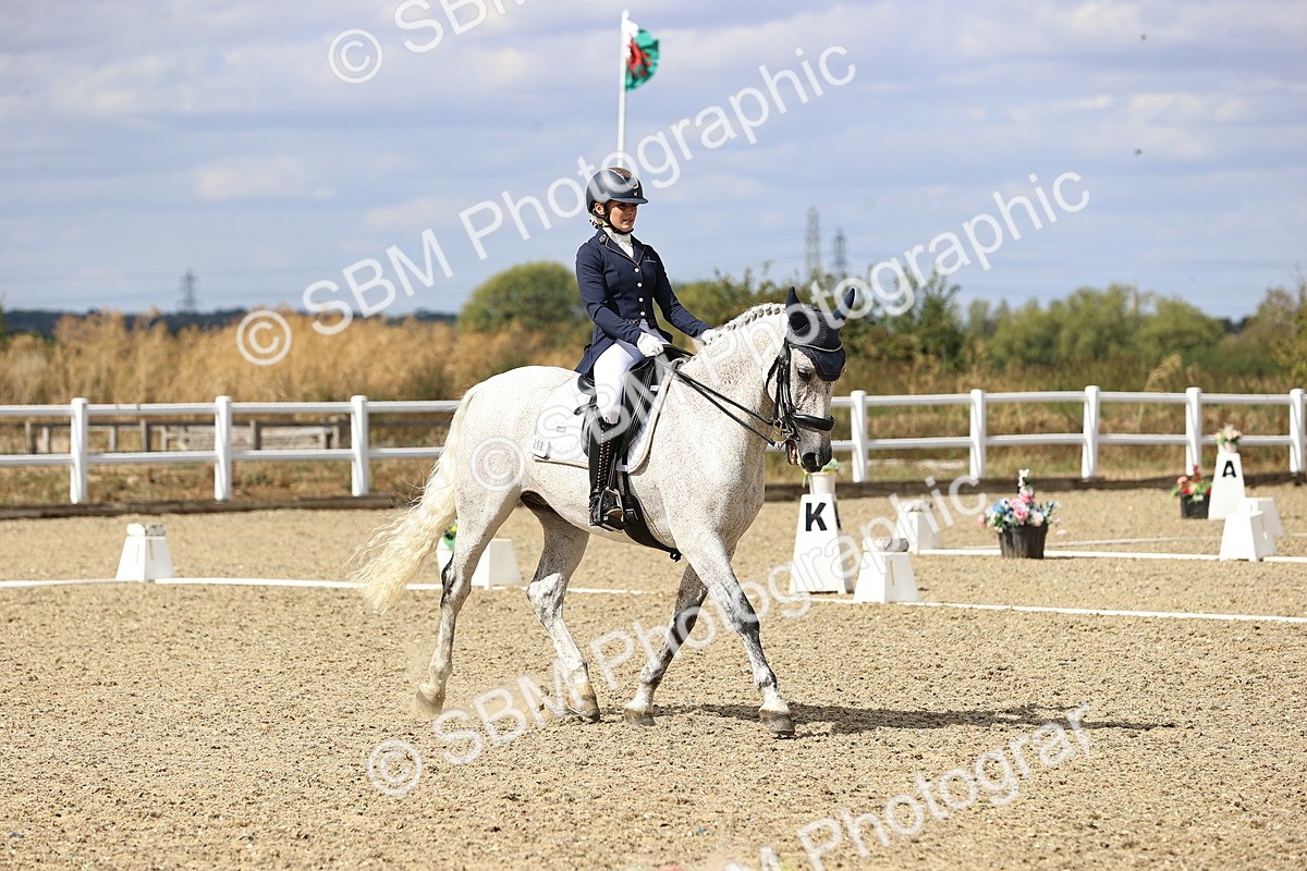 SBM_015161 - Class 5 - E5 Bronze 14.42.15.54
