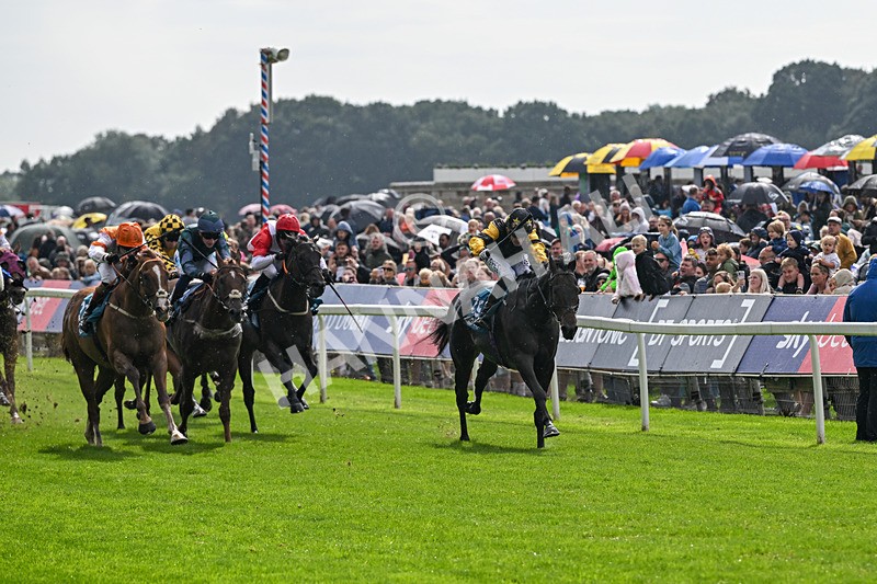 060926-Race 2-Oriental Prince-7192 - Race 2 2.05pm Fine Details Car Valeting Sprint Handicap