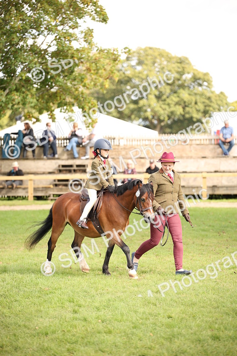 SBM_50023 - S26 - Young Veteran - Ridden