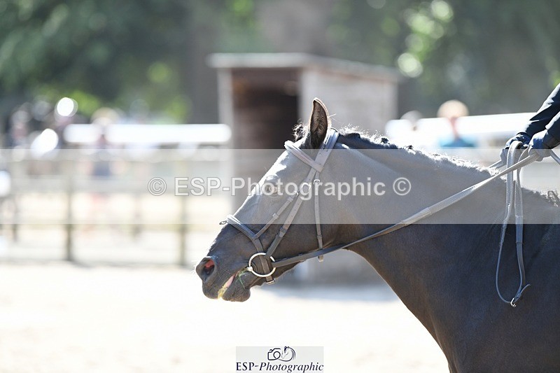 250822A-103839-20743 - NAF Round 1 10.20 to 11.30