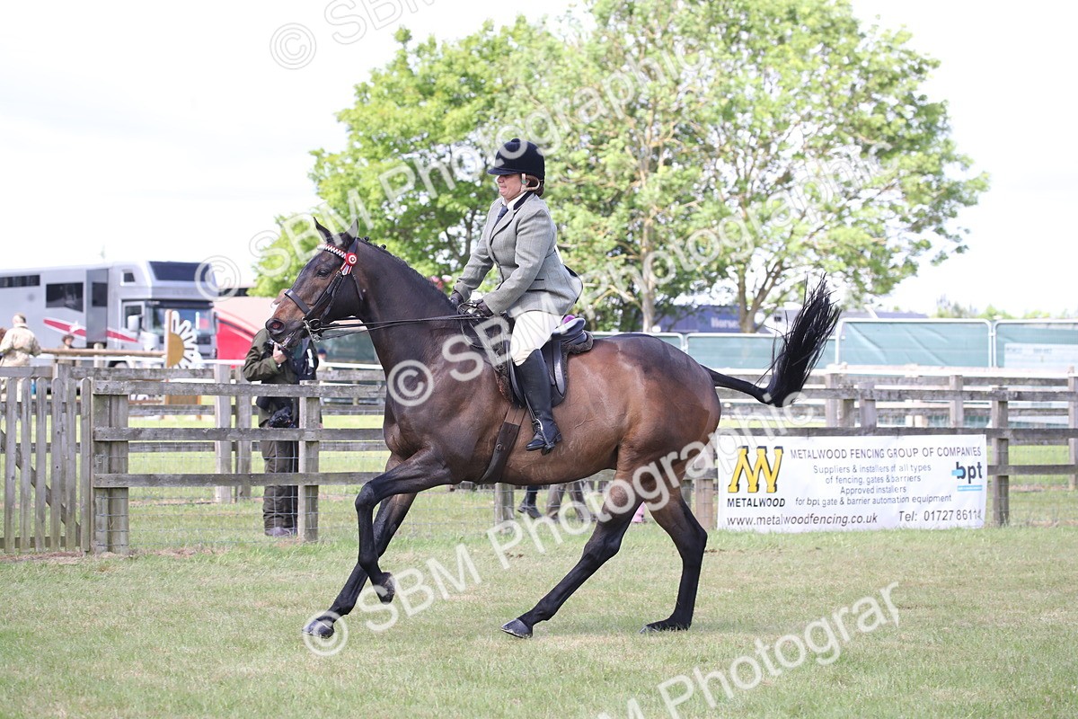 SBM_14217 - Class 113-114 - Retraining of Racehorses Ridden