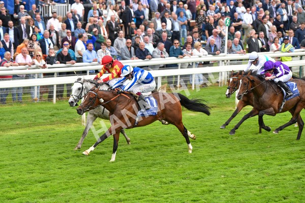 180523-Race 4-The Foxes-9710 - Race 4 3.35pm Al Basti Equiworld Dubai Dante Stakes