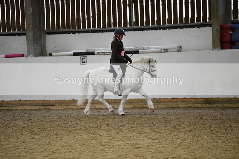 WJ5_6488 - Class 9 Ridden Veteran