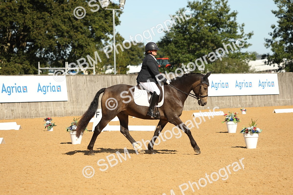 SBM_18631 - D10 - Small Tour Championship - Prelim 2