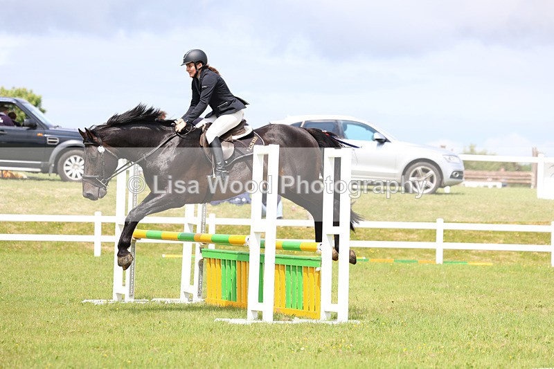 3E7A7474 - Class 13: Senior British Novice/90cm open