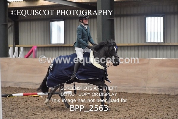 BPP_2563 - CLASS 16 Pony BritiNovice / 0.80m Open