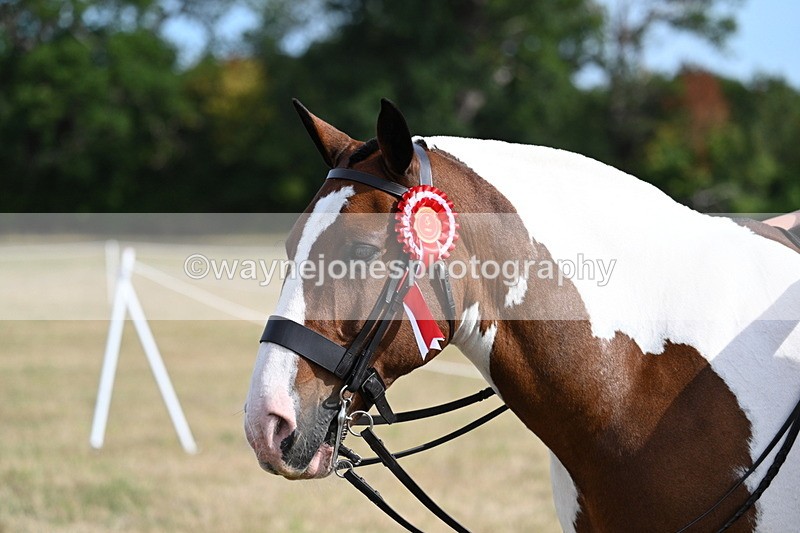 WJ7_7948 - George ...
