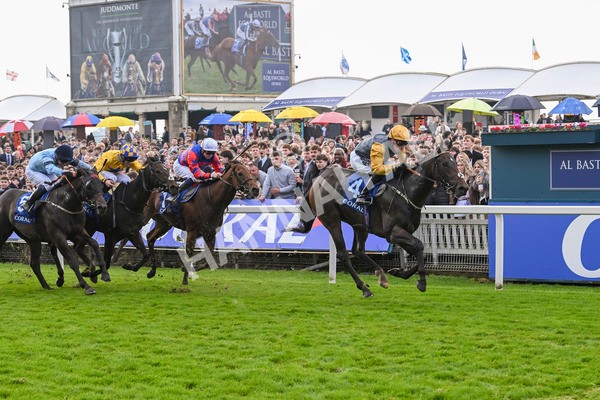 121024-Race 1-Jungle Drums-2571 - Race 1 1.30pm Coral Rockingham Stakes