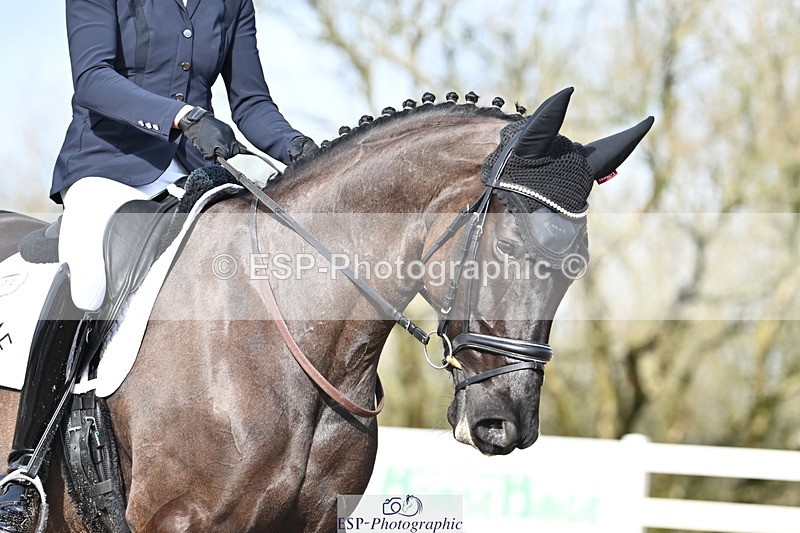 240218A-115613-06912 - 204-Elder.Klatzko-Dynasty.Hit