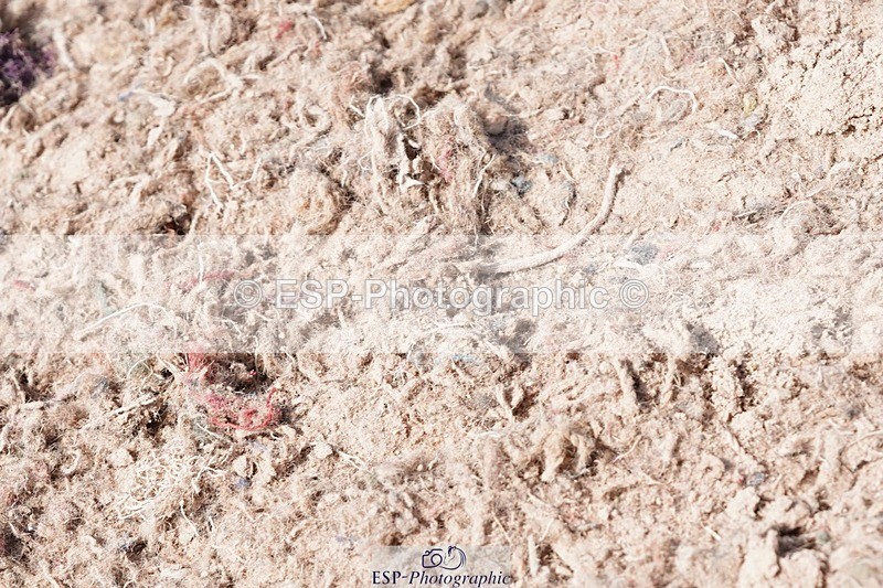 250503-123058-01102 - Cls 23+24 Club and Schools 90cm