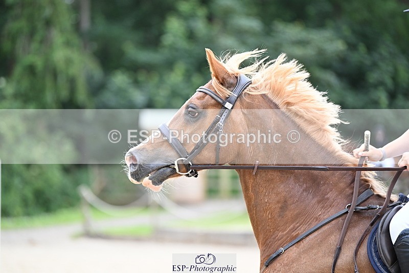 250622A-155206-02745 - 90cm