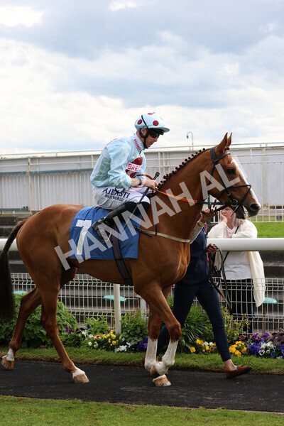 yr22052022r6-5 - Race 6: 6:05pm Sky Bet Sunday Series Stayers Stakes