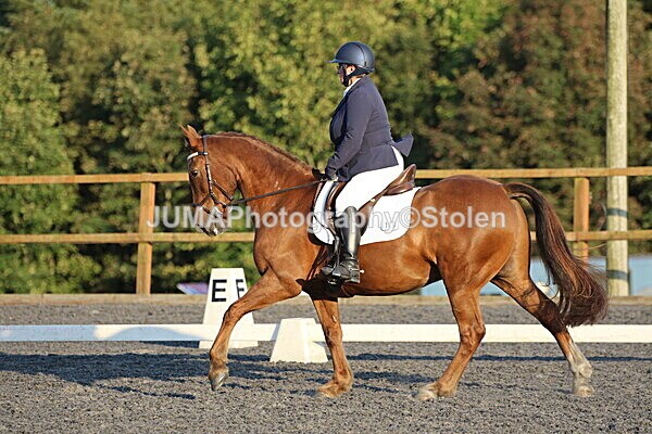 SIAL2439 - Saturday 16th 230pm till finish