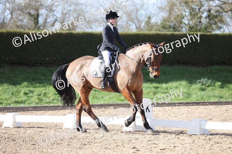 20260228-0768 - Class 5 - Novice 2