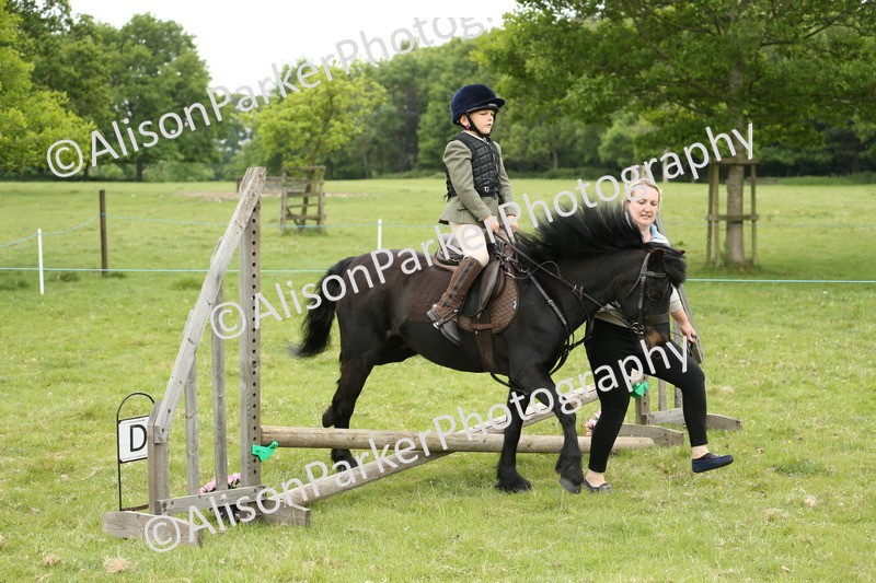 20250517-0455 - Class 20 - Beginners Working Hunter