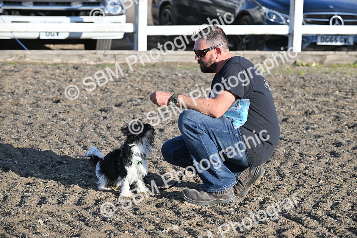 SBM_09363 - Lorry Dogs