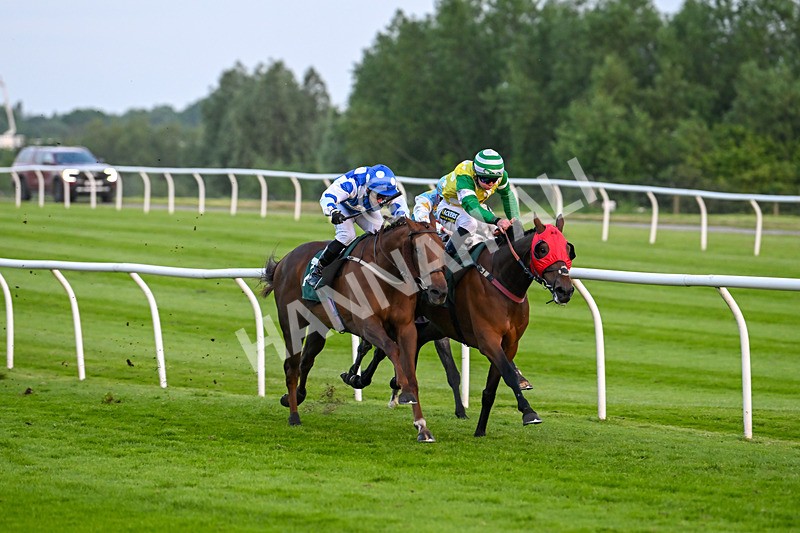 310524-Race 6-Mister Sox-9036 - Race 6