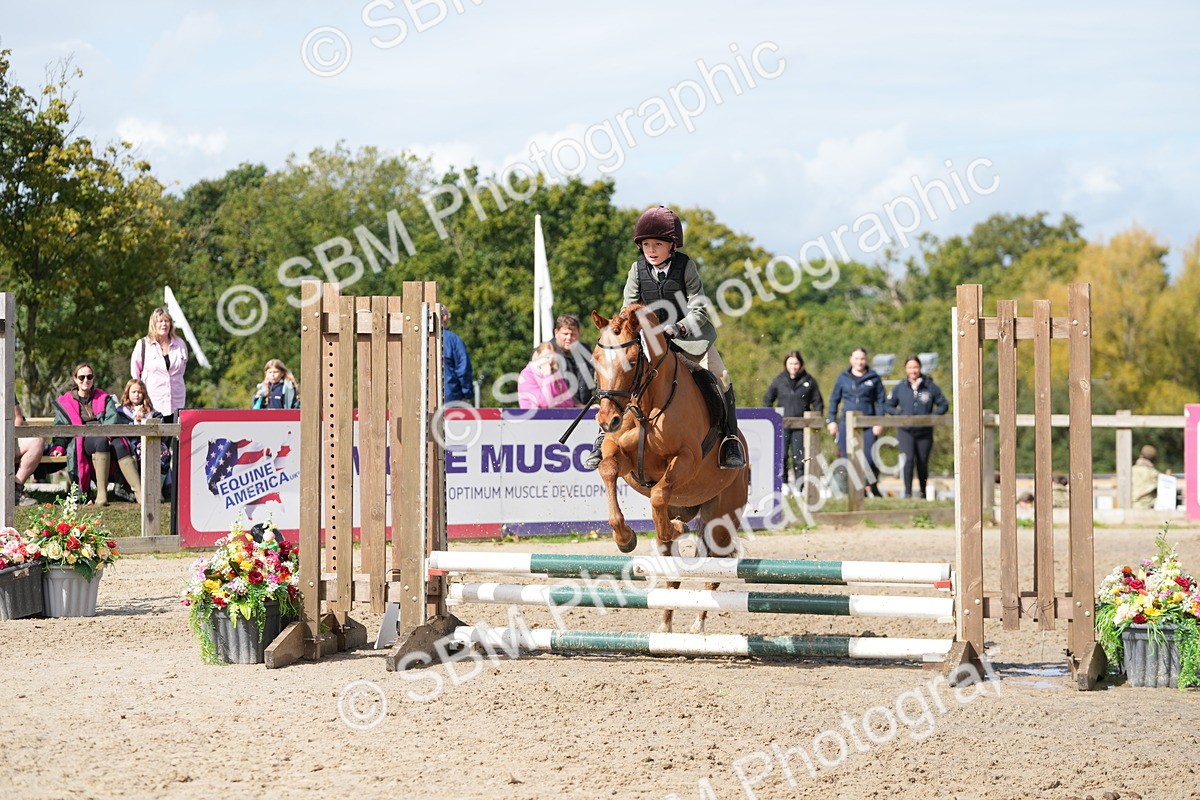 SBM_40776 - Supreme Championship Pony 50-55cm