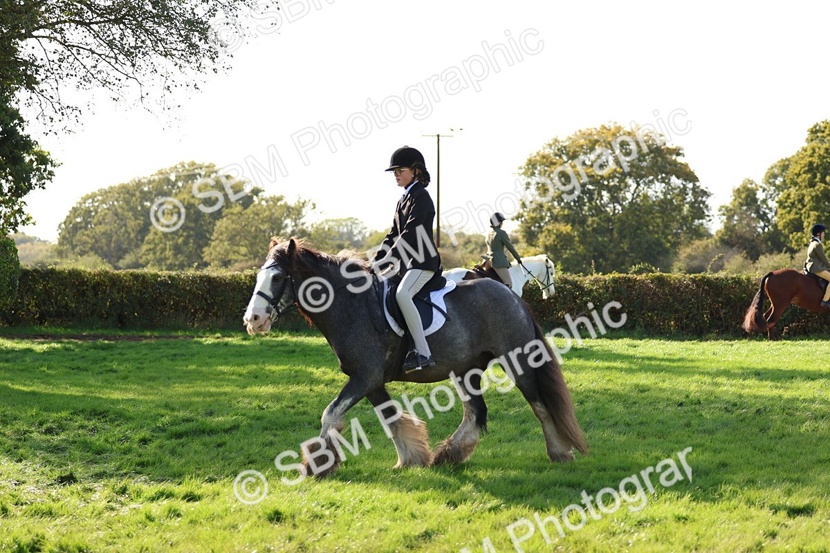 SBM_52424 - S13 - Pony Club Pony