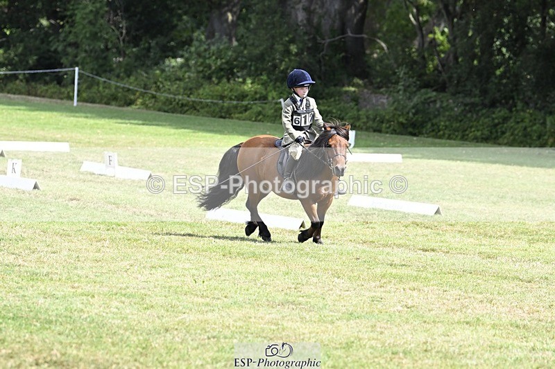 250822A-115657-22465 - DR 11.00 to 12.00