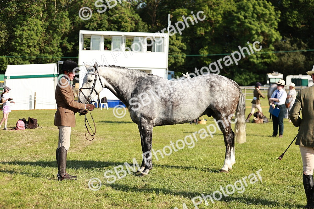 SBM_20017 - Class 115-116 - LIHS BSHA Rising Star Working Hunter & Show Horse