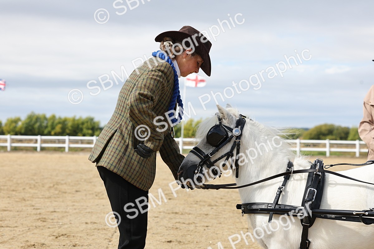 SBM_001084 - Class 14 - Shetland Ponies and Minatures