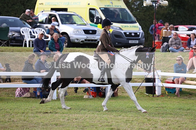 3E7A3862 - Supreme Championship