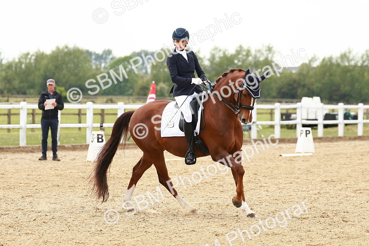 SBM_002776 - Class 12 - Medium 4