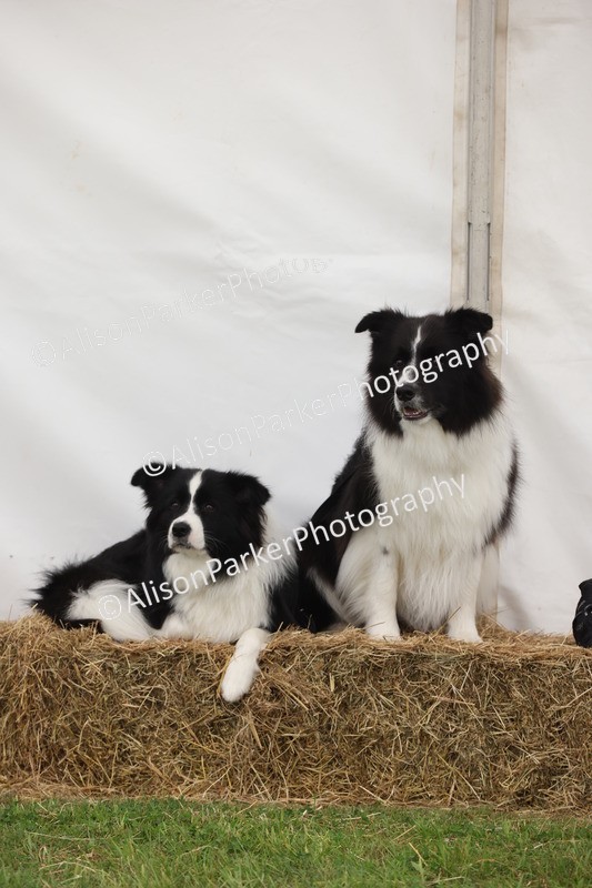 20250607-0022 - Misc