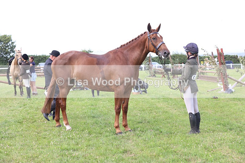 JPP_4558 - Class 26: Working Hunter 1m
